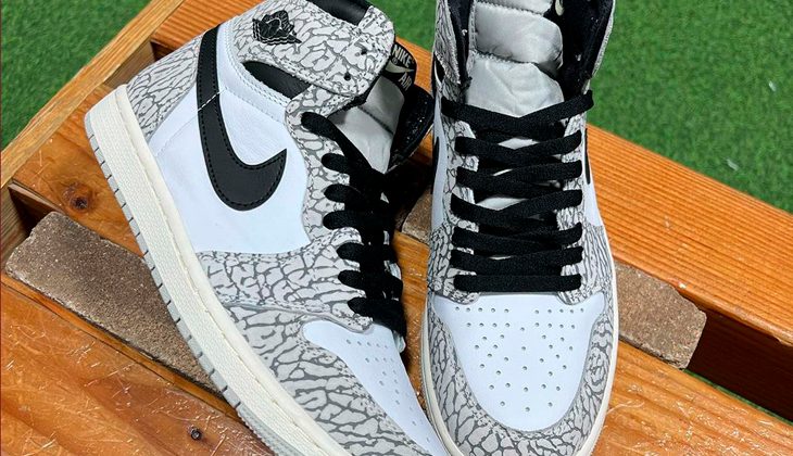Air Jordan 1 Retro Elephant Print