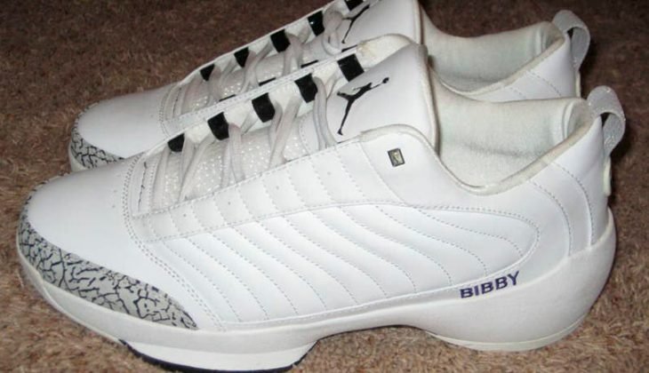 Air Jordan 1 Retro Elephant Print