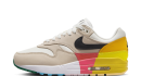 Nike Air Max 1 Multicolour