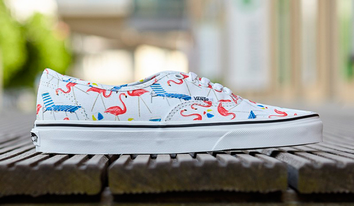 Vans-pool-vibes-pack-authentic
