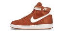 Nike Vandal High Supreme